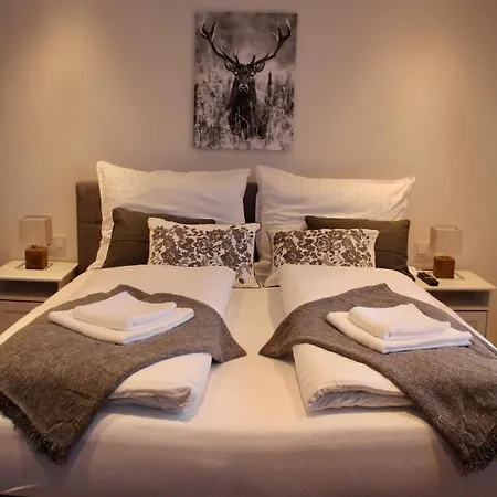 Apartment Emmi Neukirchen am Großvenediger